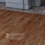 effect_pages-to-jpg-0014