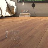 effect_pages-to-jpg-0016