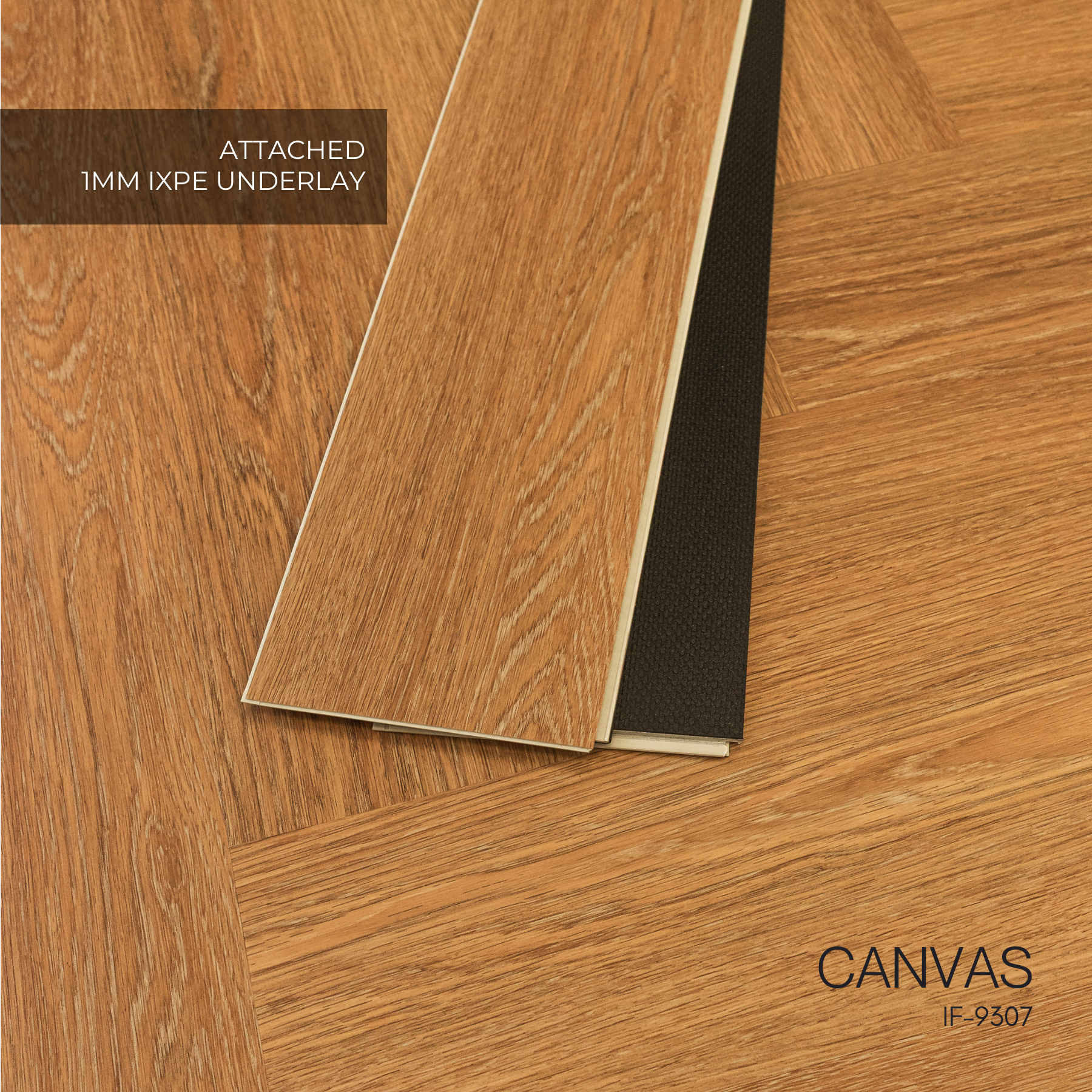 Canvas- IF9307