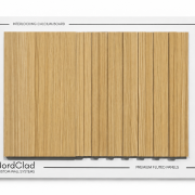 Beech – 8508